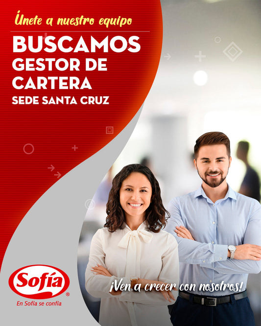 GESTOR DE CARTERA